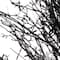 5ft. Pre-Lit LED Halloween Black Twig Artificial Fall Tree in Burlap Planter